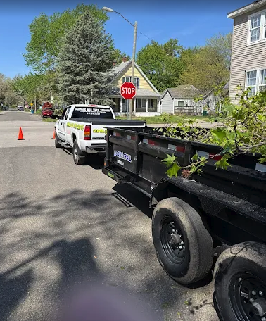 Rumble Bee Tree Service truck and dump trailer on a job site